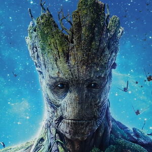 Fundraising Page: Aaron Foster